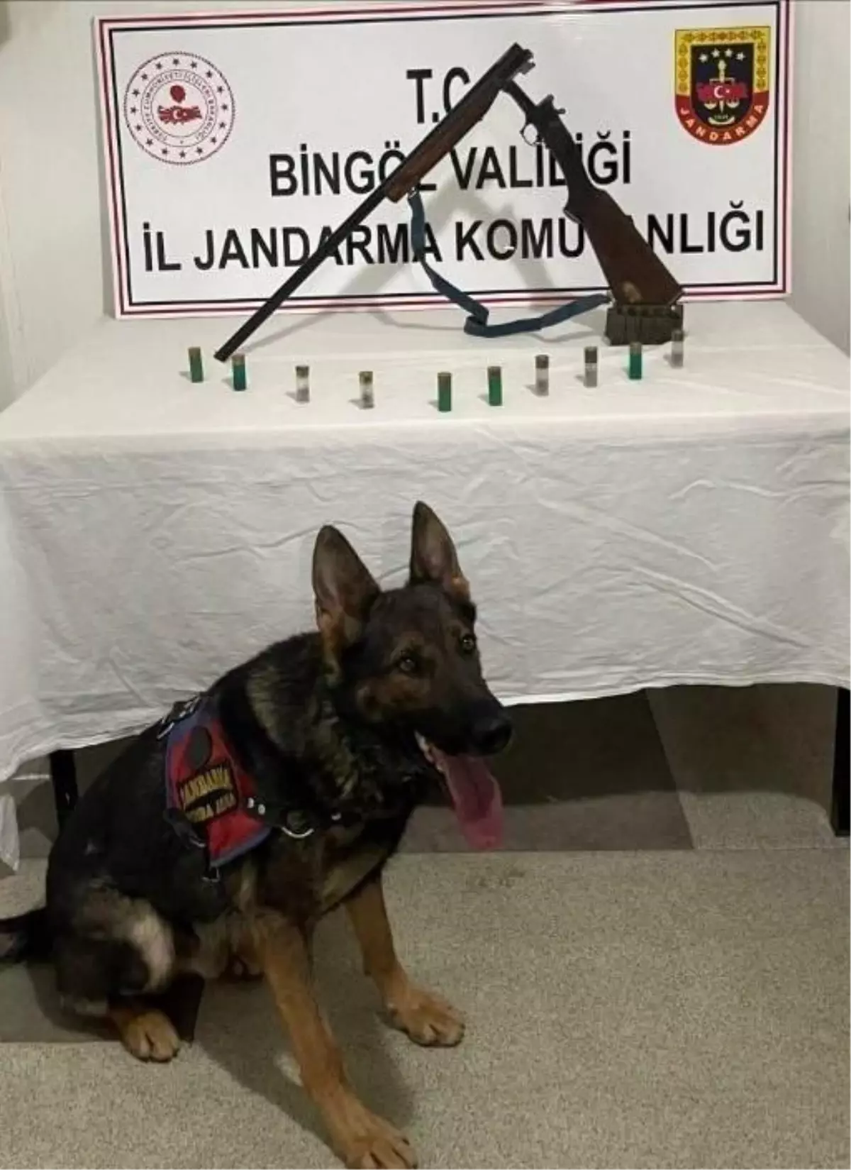 Bingöl’de Kaleşnikof ve yivsiz av tüfeği ele geçirildi