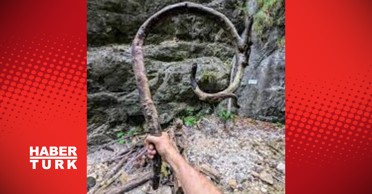 Bir ‘Değnek’le mutlu olan 3.5 milyon kişi