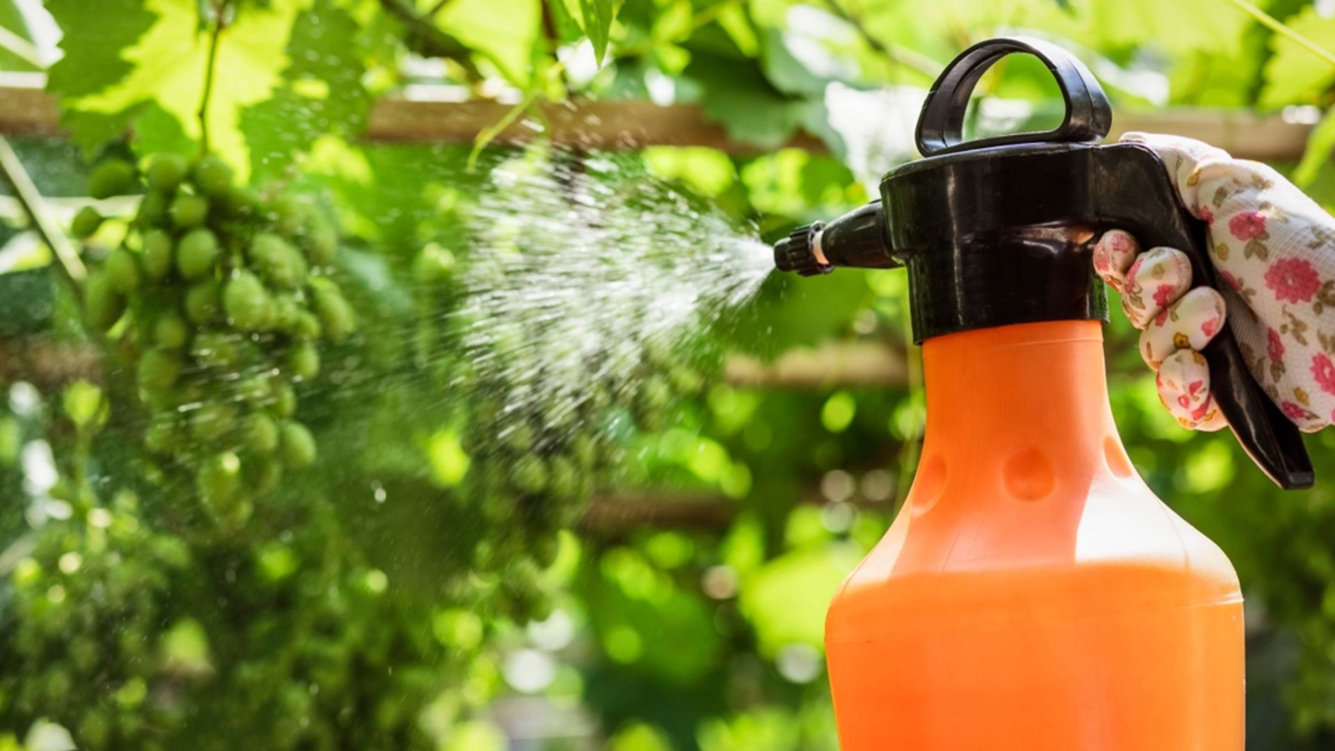 Tarım ilaçları çocuklara zarar verir mi?