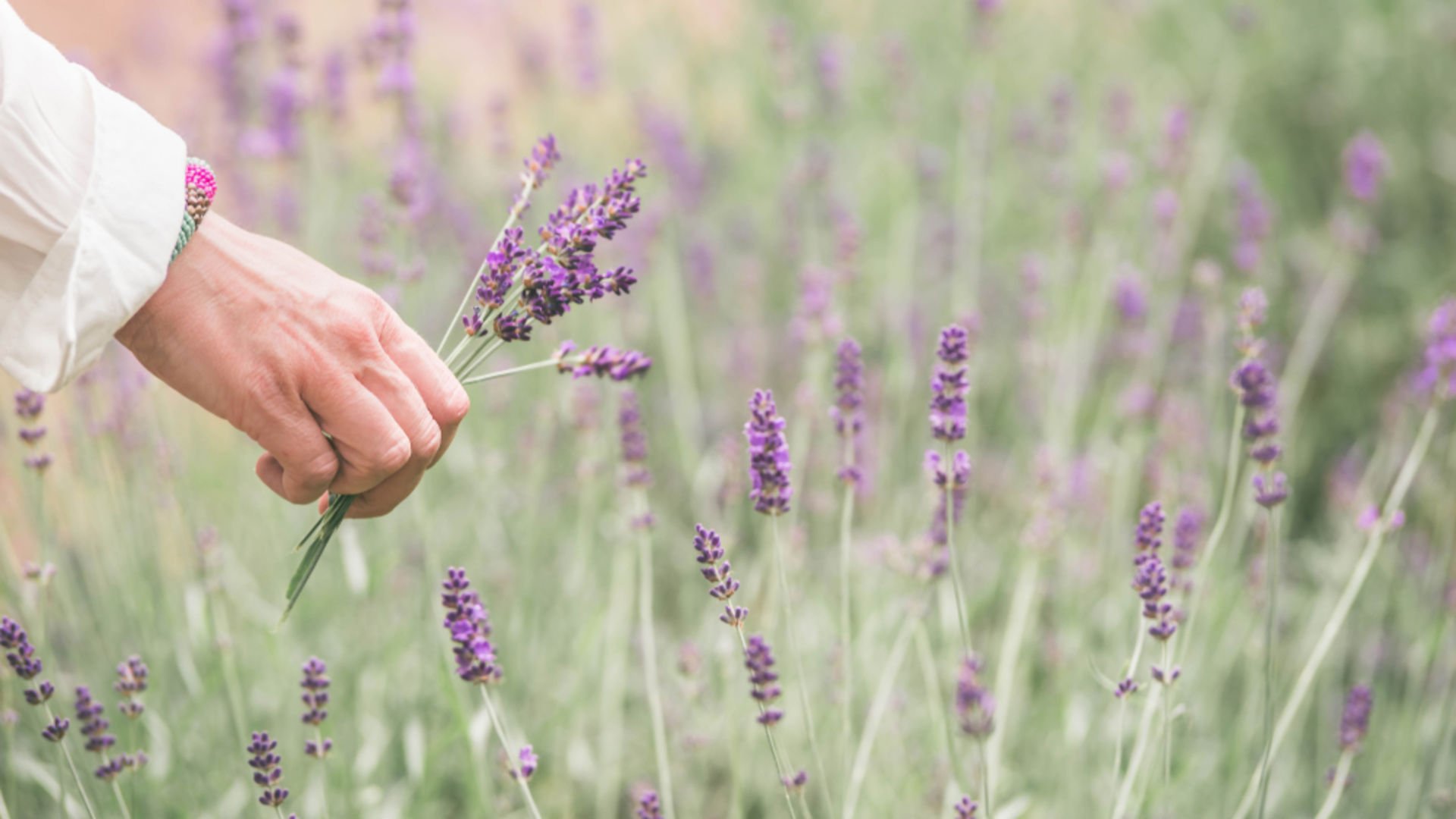Güçlü kadınların 11 özelliği